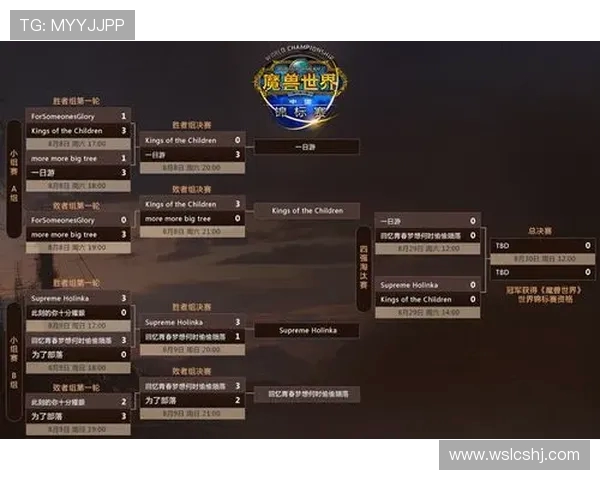 杭州足球队在世界锦标赛中的战术分析与表现评估